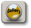 k9komfortinn_web_june_2017001004.png